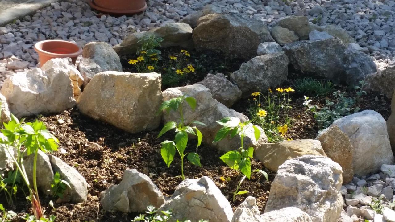 Alpesi faház Stone House Vlasta *